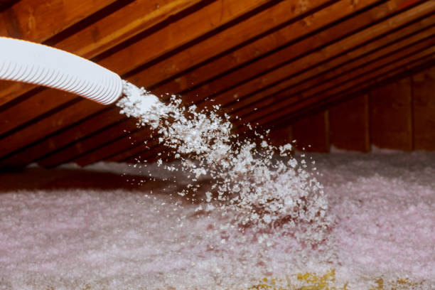 Types of Insulation We Offer in Tolleson, AZ